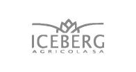 iceberg